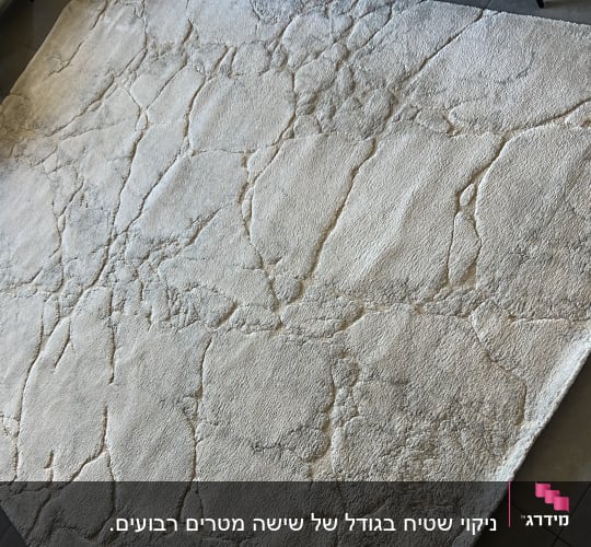 שטיח בהיר עם דוגמה על רצפה אפורה